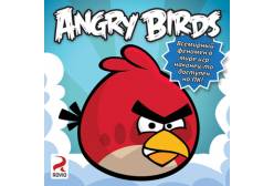 CD-ROM. Angry Birds